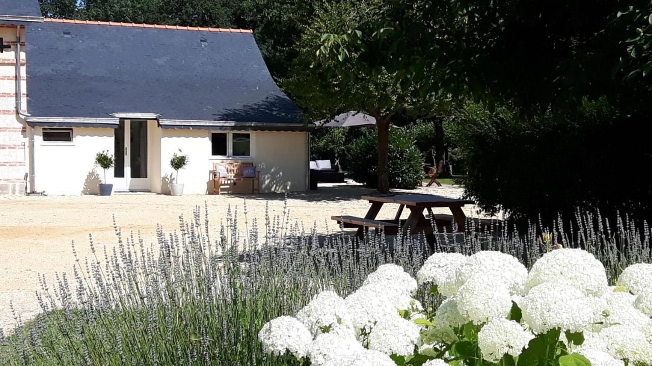 Chateau La Mothaye - Self Catering Apartments With Pool In The Loire Valley Les Bois-d'Anjou 외부 사진