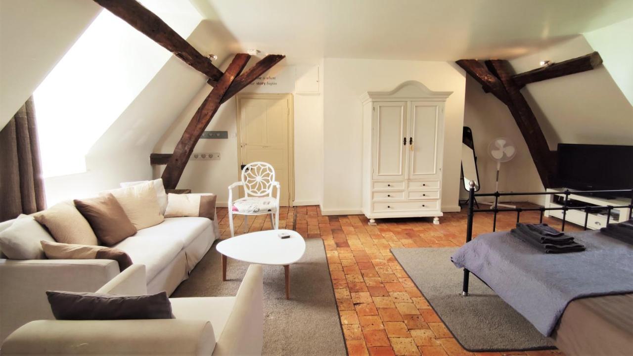 Chateau La Mothaye - Self Catering Apartments With Pool In The Loire Valley Les Bois-d'Anjou 외부 사진