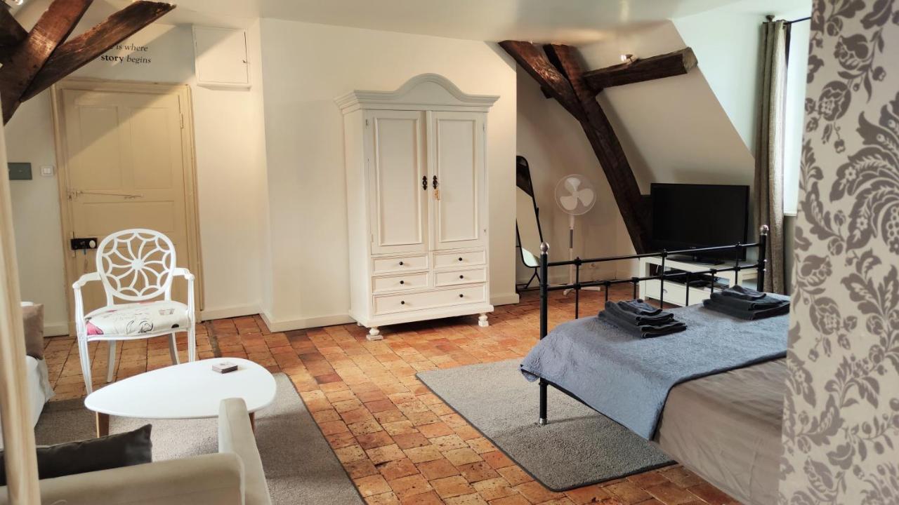 Chateau La Mothaye - Self Catering Apartments With Pool In The Loire Valley Les Bois-d'Anjou 외부 사진