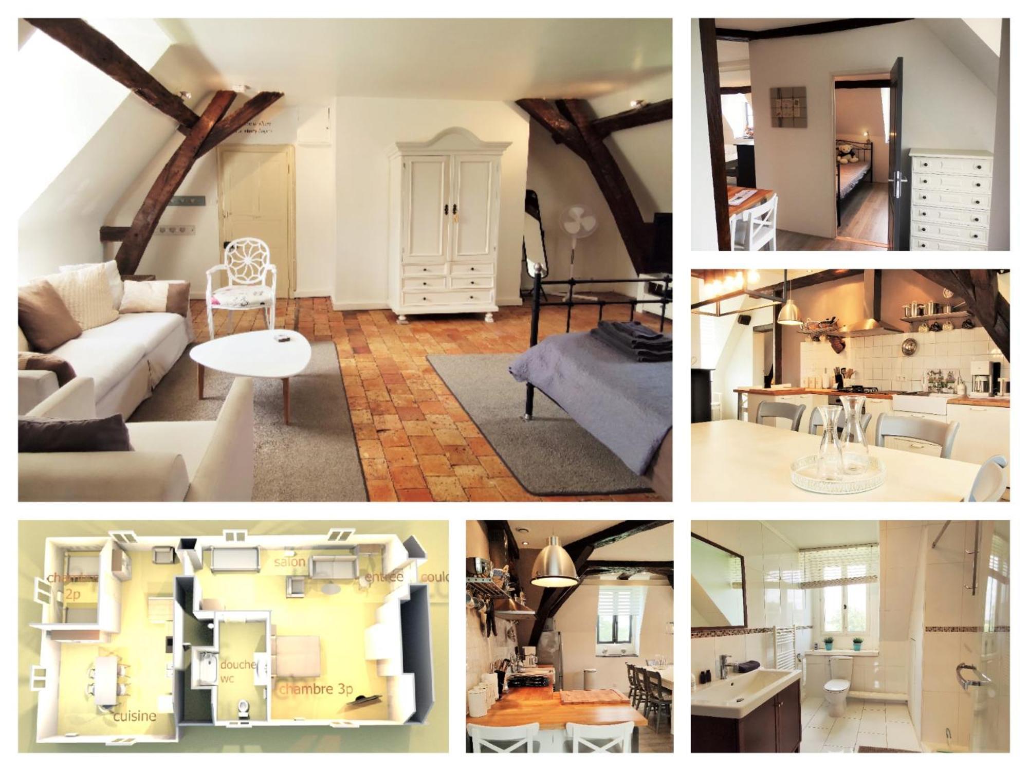 Chateau La Mothaye - Self Catering Apartments With Pool In The Loire Valley Les Bois-d'Anjou 외부 사진